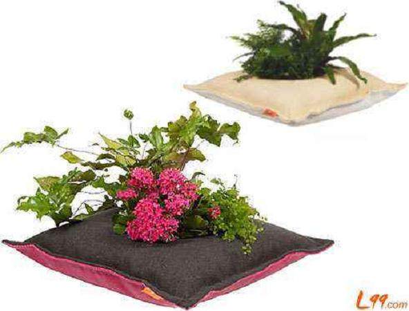 上水石可制作奇妙多姿的盆景