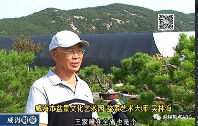 2017年春季拍卖会中国园艺盆景专场成果揭晓