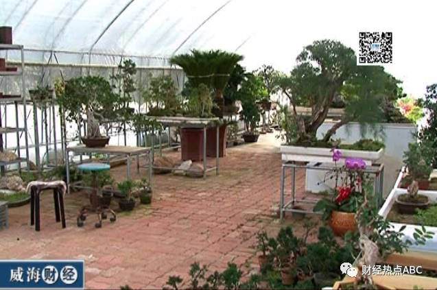 2017年春季拍卖会中国园艺盆景专场成果揭晓