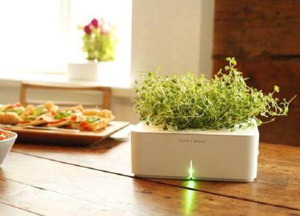 黄木漆成的艺术底座流露出典雅而迎客松盆景