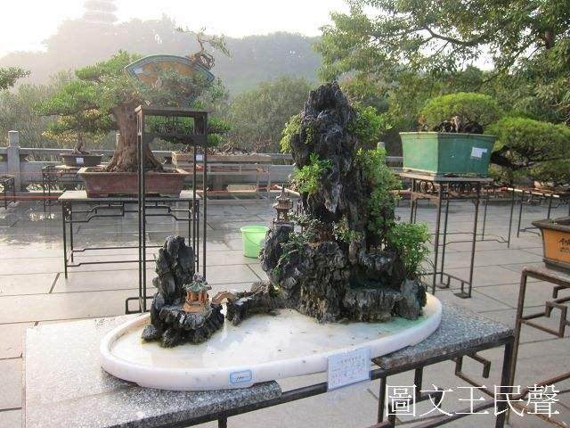 盗窃五盆盆景以3万元的超低价出售