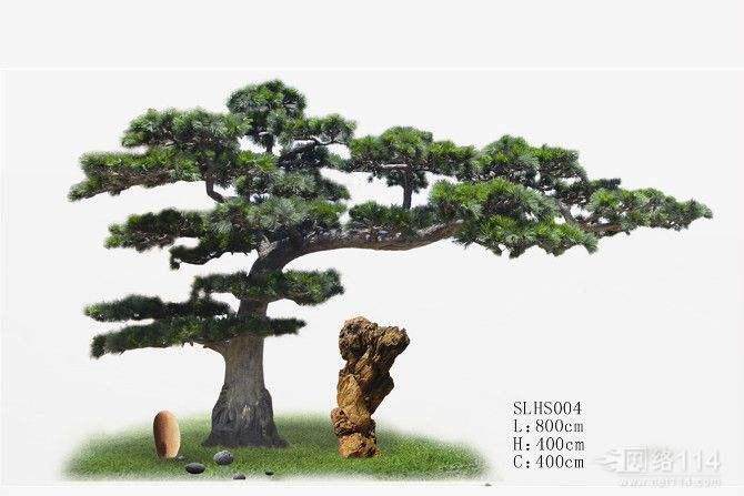 DIY盆景增添绿色生活