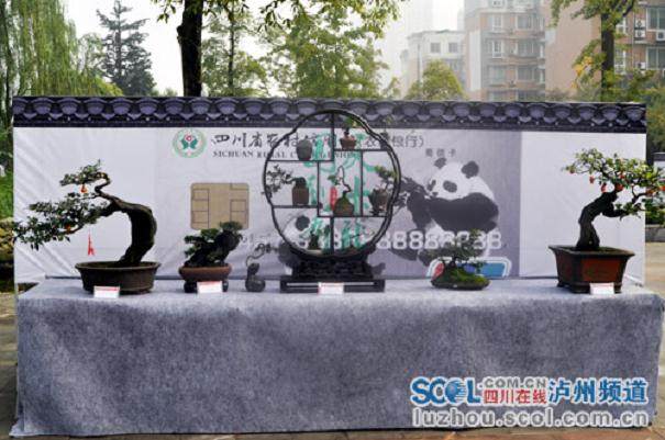 盗窃盆景去销售 不料却撞见了失主