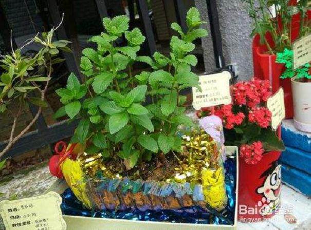 共有32位居民参与了&ldquo;废旧物品换盆景&rdquo;的活动