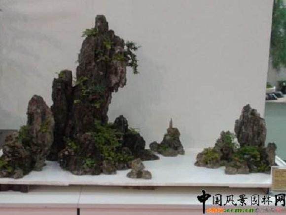 在雨城区对岩镇一村民为盆景而&ldquo;狂&rdquo;