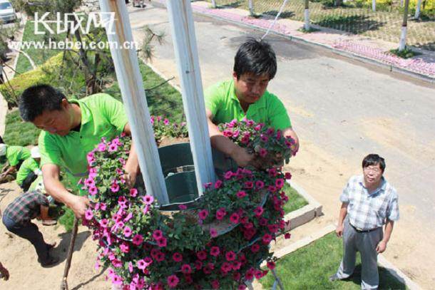 这个高空灯杆盆景是我按古人的空中花园创意出来的