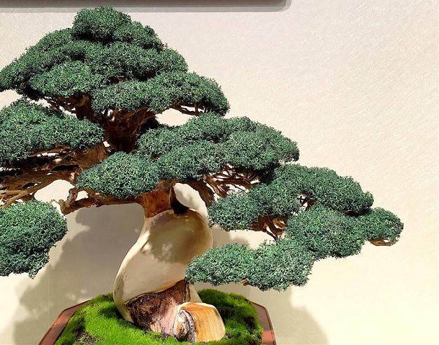 《精心培育&ldquo;盆景&rdquo;，积极打造一流法庭》