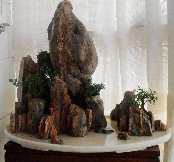 在江都举行“江都园林杯”盆景园艺工职业技能大赛