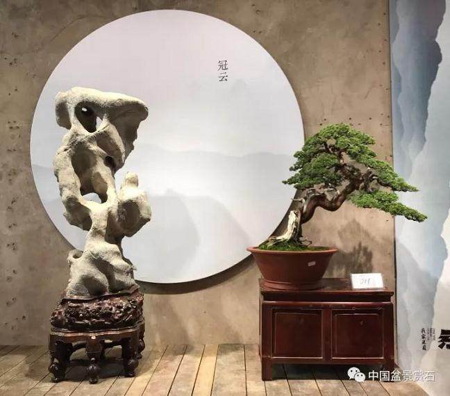 “岁月留痕 吴家花园杯”盆景名家作品邀请展