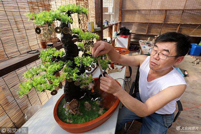 探访青岛的盆景达人赵建立