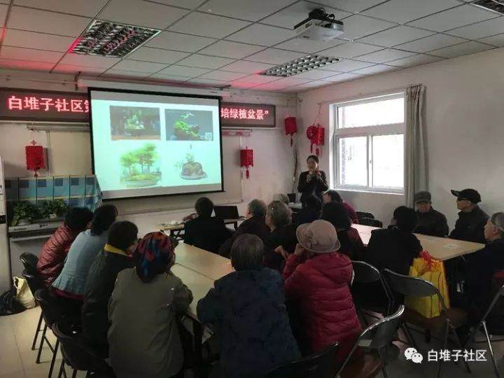 第三期一米绿色微庄园“土培绿植盆景”