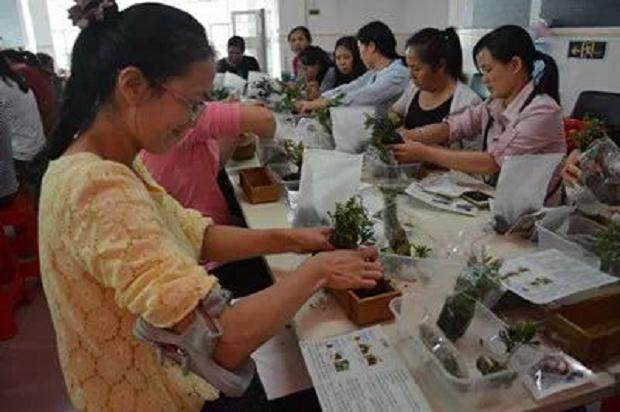福城大兴社区盆景种植活动巧变义工招募现场