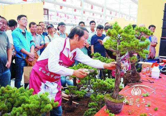 感谢信 - 第四届中国风盆景展