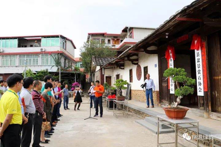 永春华辰盆景研发中心举行揭牌仪式