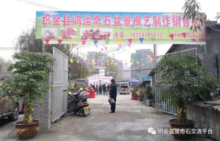 2017年11月11日织金鸿运盆景根艺制作部拍卖活动