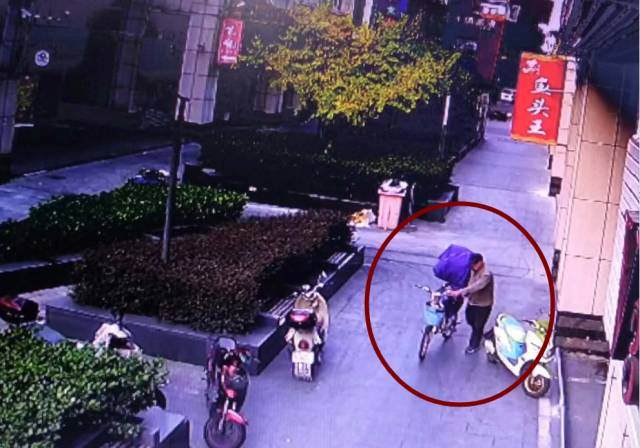 龙泉近日偷花贼出没啊,家里有盆景的看好了!