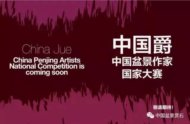 首次黑领结&ldquo;中国盆景年度之夜&rdquo;即将在中国如皋闪耀登场！