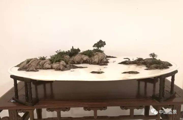 这是我第一次陪伴你参加盆景班的亲子活动