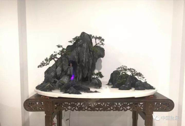 2017首届中国靖江山水组合盆景邀请展