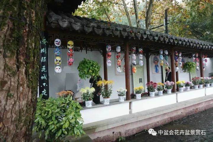 潘仲连盆景艺术研讨会在杭州举行