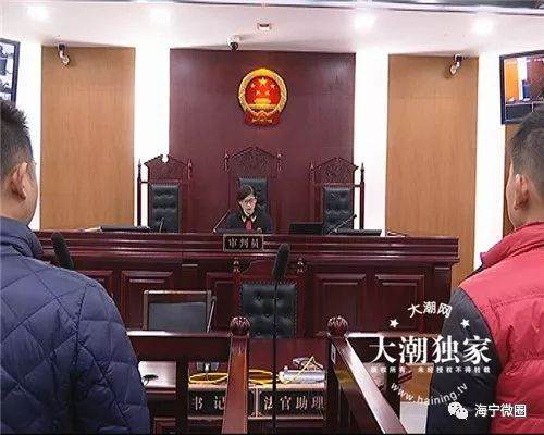 海宁这两个盗贼不偷金不偷银 却偷了6棵盆景…