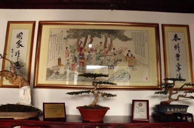 泰云堂 11月24日-12月3日泰州盆景展与您相约