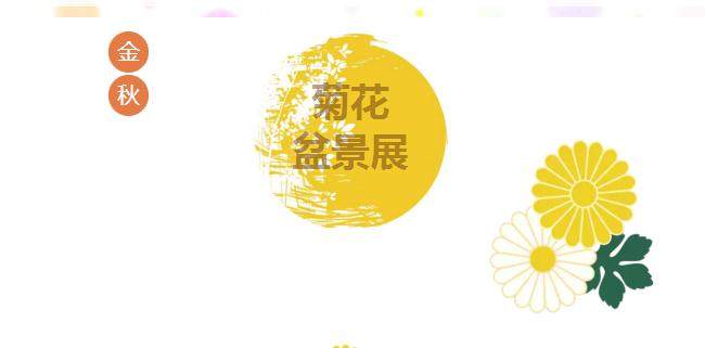 常德金秋菊花盆景展落幕 游客量突破百万人次