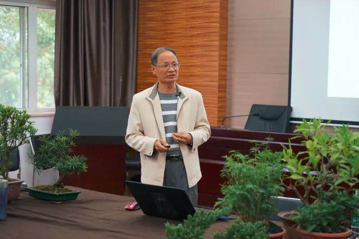 谢荣耀岭南盆景：因树造型 意存形中