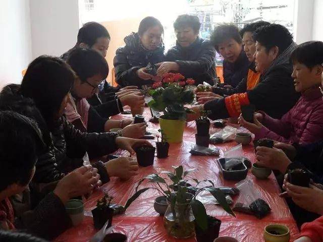 贵州居委举办植物微型盆景制作