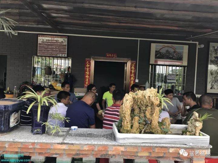 三水盆景协成立1周年暨第一届会员盆景作品、藏品展