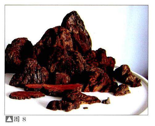 一件山水盆景的成功与否取决于作者手中材料的优劣