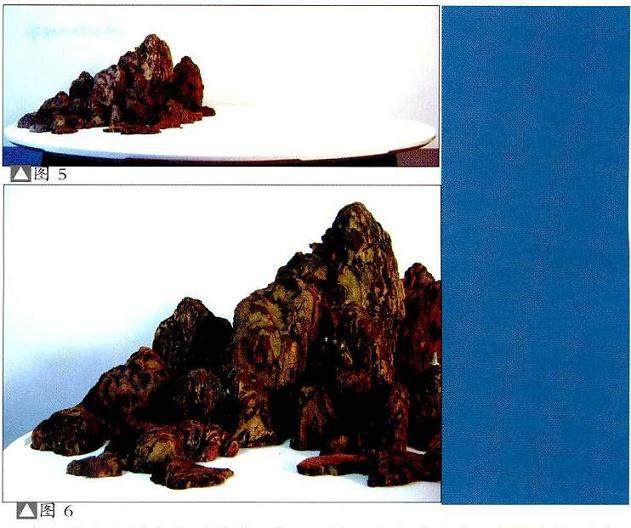 一件山水盆景的成功与否取决于作者手中材料的优劣