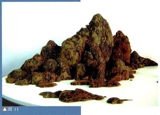 一件山水盆景的成功与否取决于作者手中材料的优劣