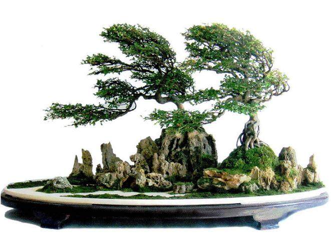 潜江盆景爱好者的作品《远方的家》