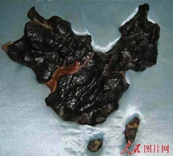 花木盆景杂志社发起并编辑《中华奇石精品》大型画册