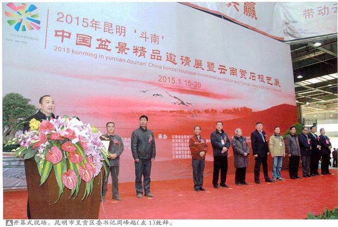 2015年昆明斗南中国盆景精品邀请展