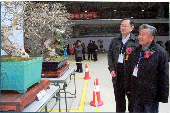 赵庆泉答盆景记者问