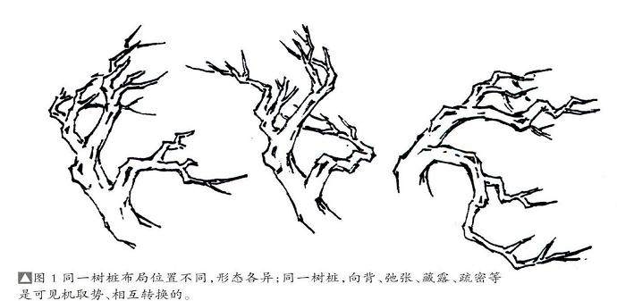 刘传刚谈中国动势盆景的造型技巧