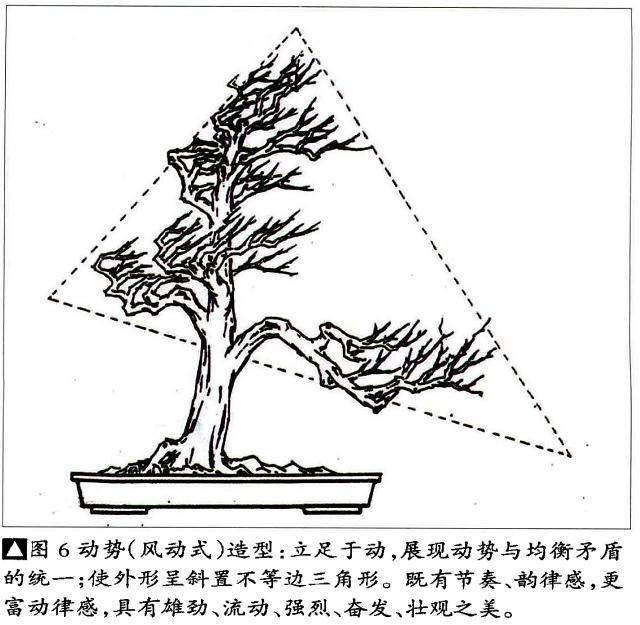 刘传刚谈中国动势盆景的造型技巧