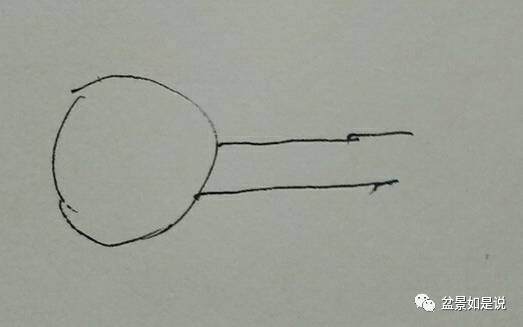 盆景如是说郑重声明这个锅我们不背