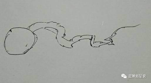 盆景如是说郑重声明这个锅我们不背