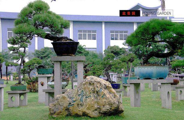 品松丘是中国盆景艺术大师韩学年先生的私家盐景园