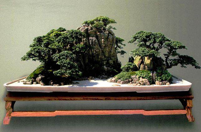 张宪文的山水盆景《沂蒙颂》荣获中华瑰宝奖