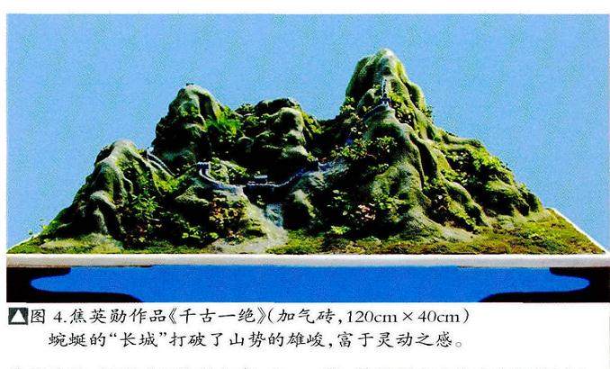 刘传刚谈风动式树木盆景的造型技巧