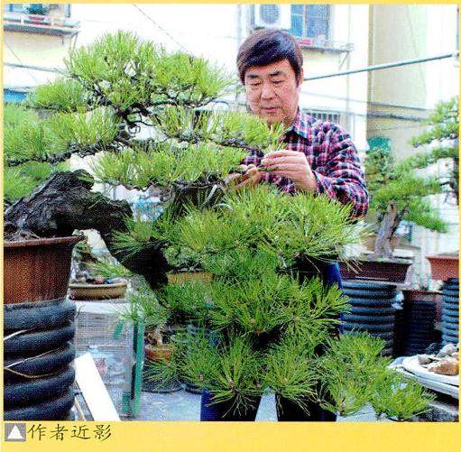 我认为山水盆景是最能以诗情画意来表达人文情怀的方式