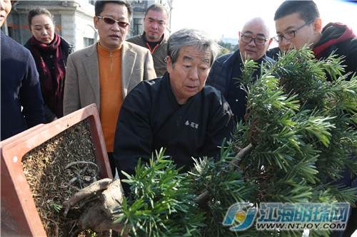 中日盆景文化艺术交流中心将落户南通