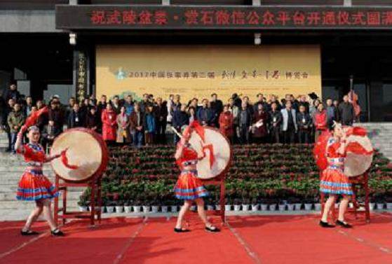 张家界第二届盆景奇石博览会获4银1铜奖