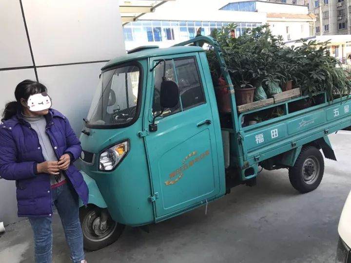 冒充医生偷盆景这3人还真是胆大