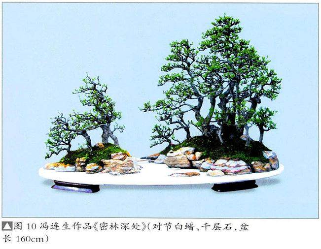 树石盆景是树木和山石巧妙融合的构成形式