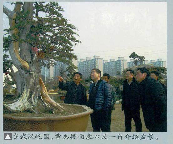 袁心义先生曾赴武汉拜访武汉光谷盆景园